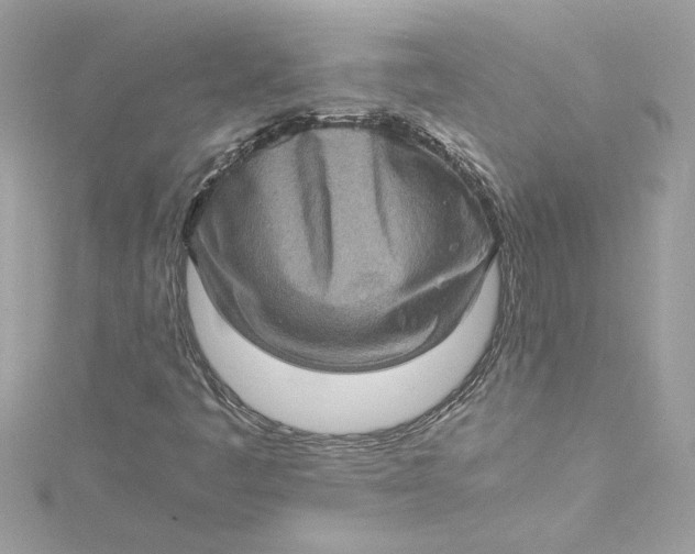 X0000115061445200911161558