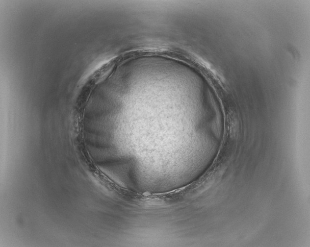 X0000115061448200911161558