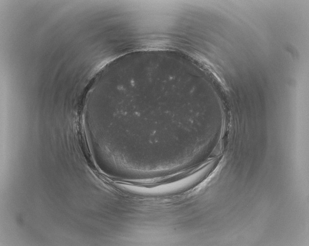 X0000115061449200911161558