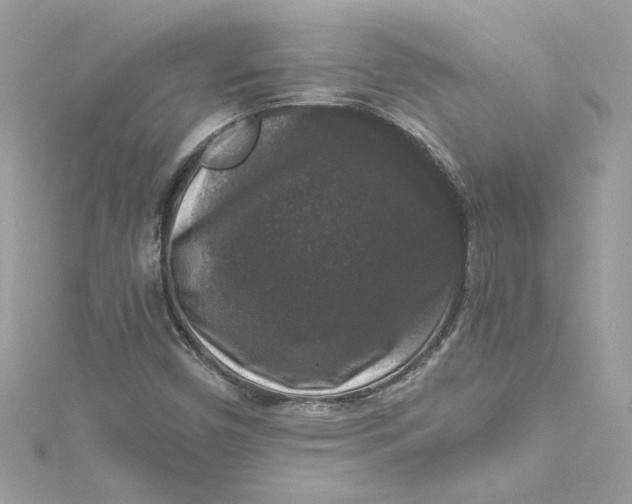 X0000115061450200911161558