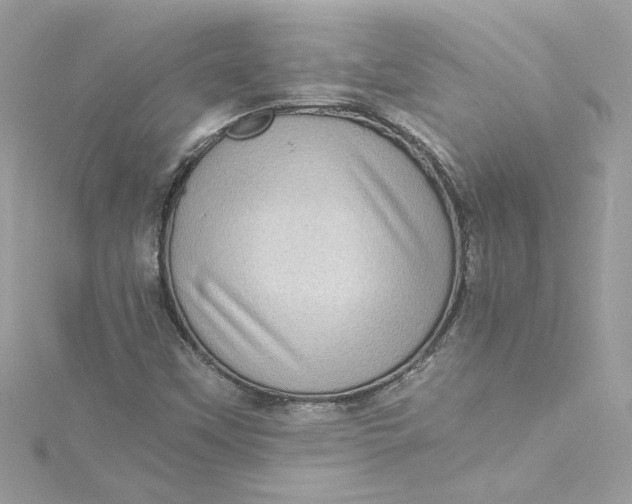 X0000115061451200911161558