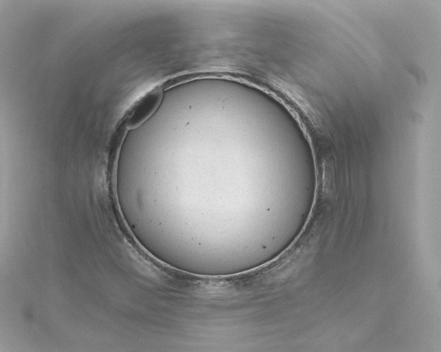 X0000115061452200911161558