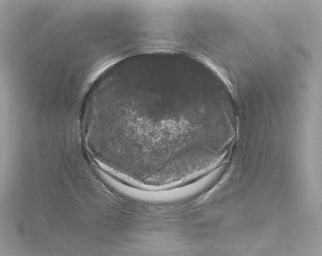 X0000115061453200911161558