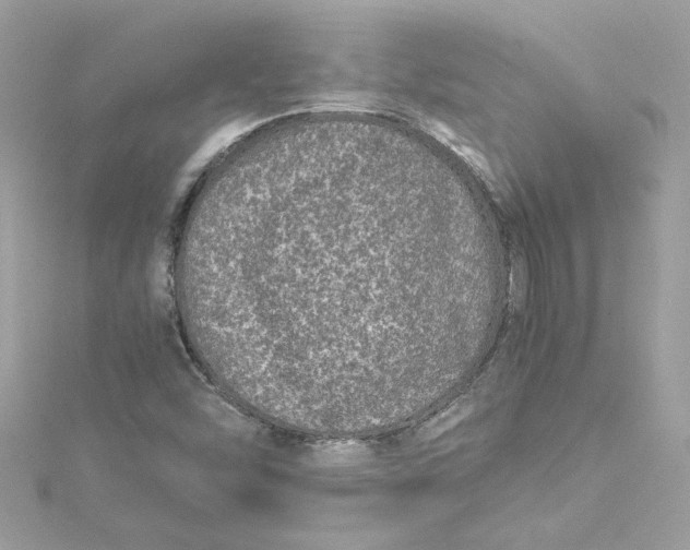 X0000115061454200911161558