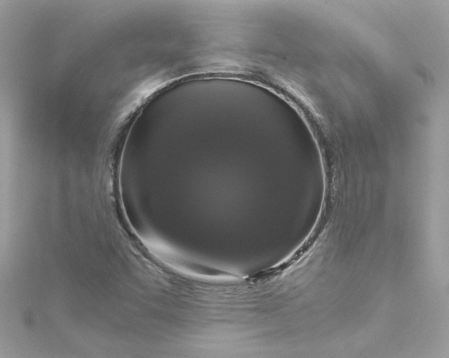 X0000115061455200911161558