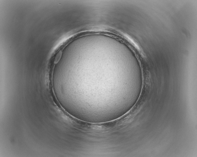 X0000115061456200911161558