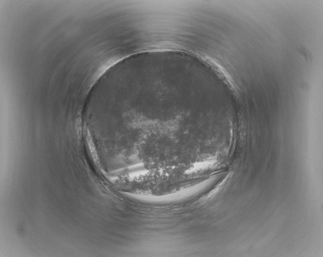 X0000115061457200911161558