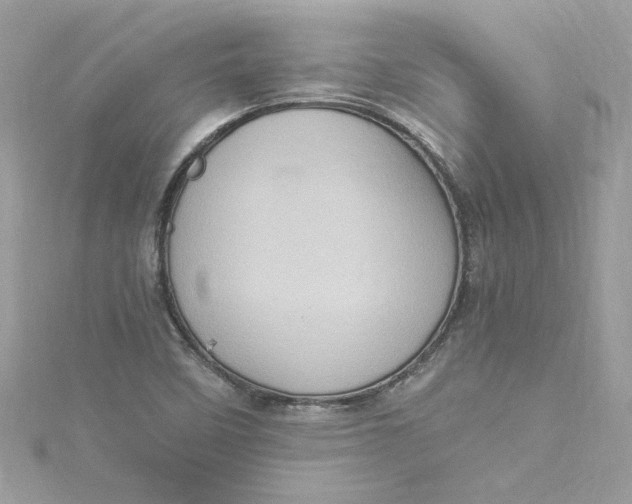 X0000115061458200911161558