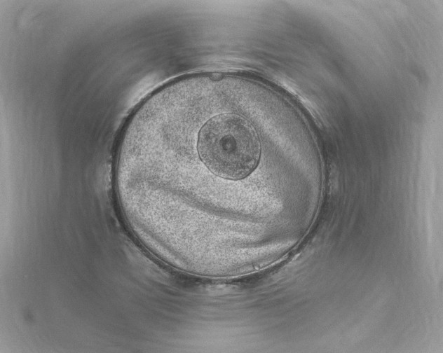 X0000115061459200911161558