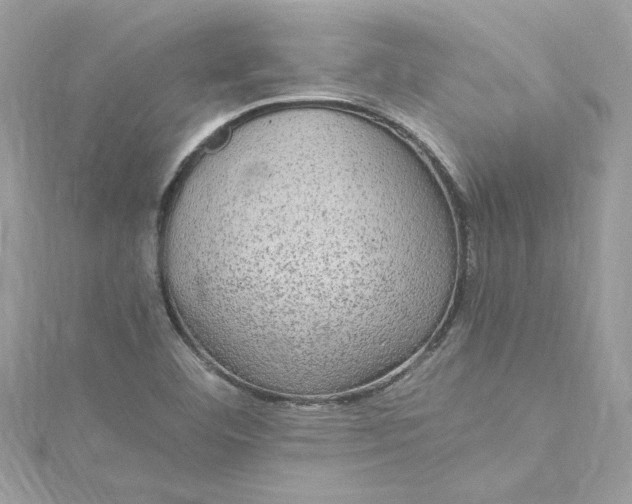 X0000115061460200911161558