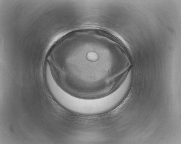 X0000115061461200911161558