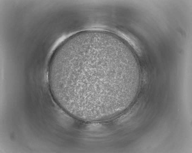 X0000115061462200911161558