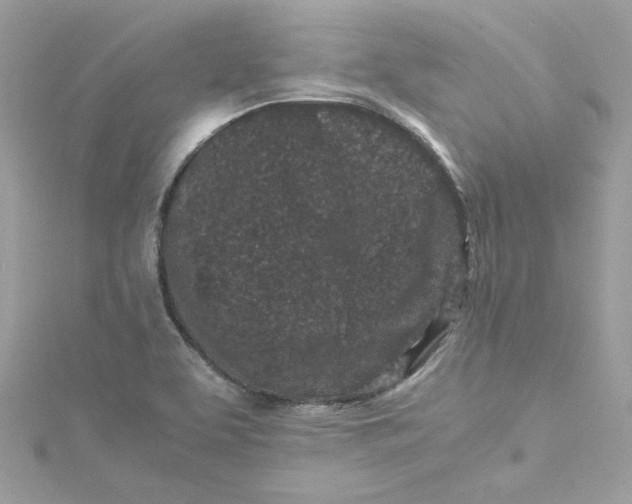 X0000115061463200911161558