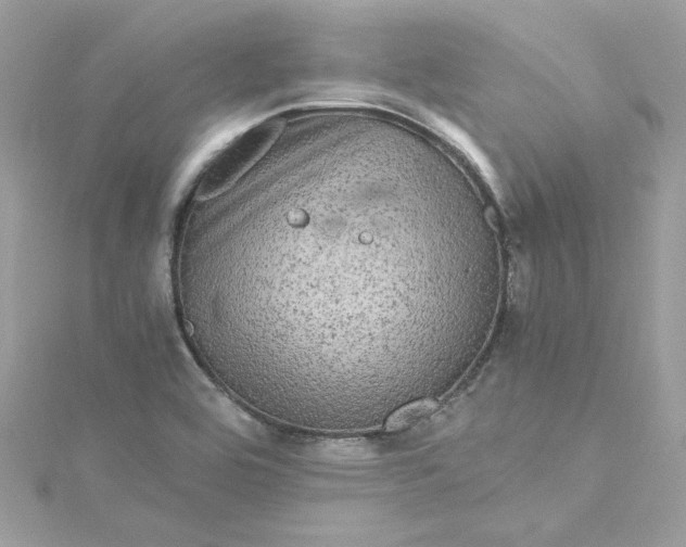 X0000115061464200911161558