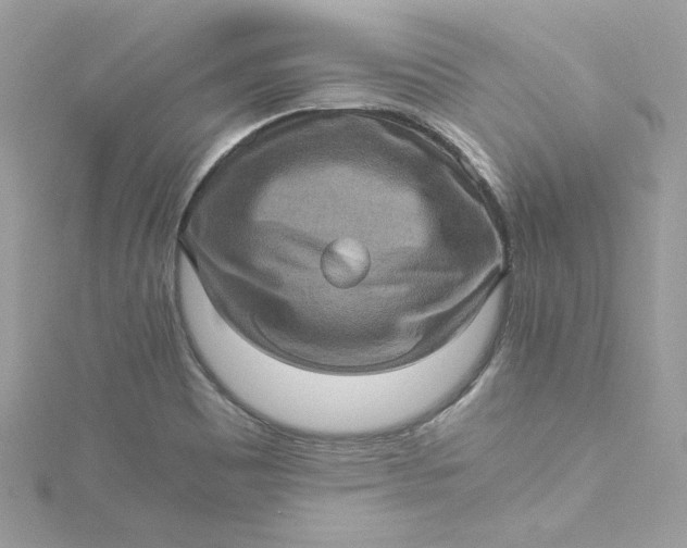 X0000115061465200911161558