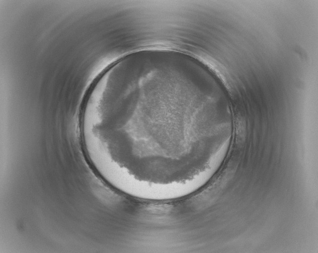 X0000115061466200911161558