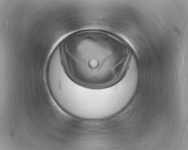 X0000115061468200911161558