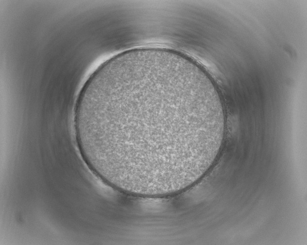 X0000115061470200911161558