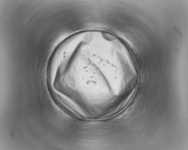 X0000115061471200911161558