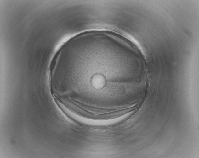 X0000115061472200911161558