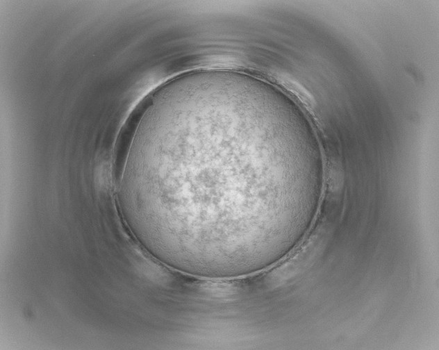 X0000115061473200911161558