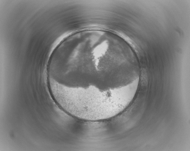 X0000115061474200911161558