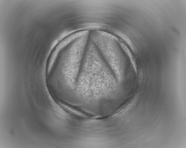 X0000115061475200911161558