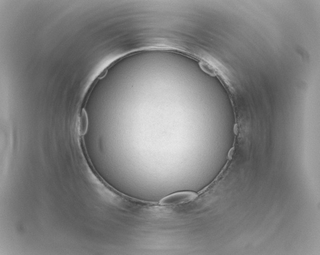 X0000115061476200911161558