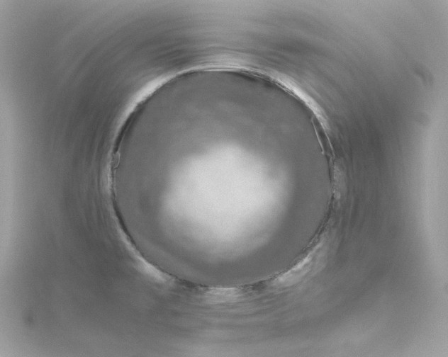 X0000115061477200911161558