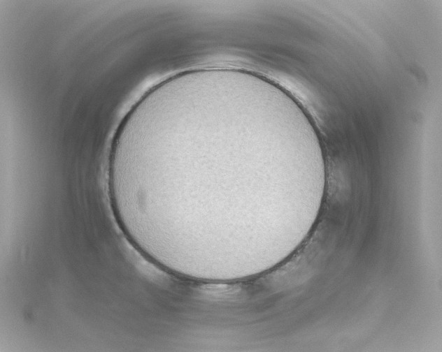 X0000115061478200911161558