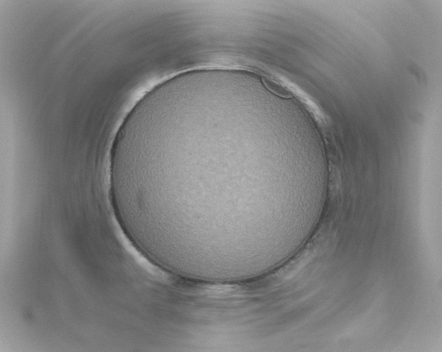 X0000115061479200911161558