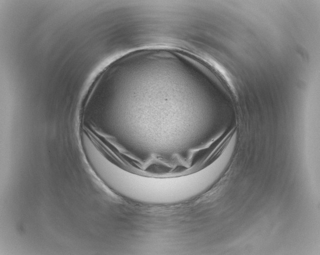 X0000115061480200911161558