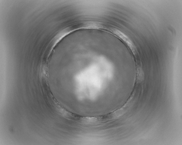 X0000115061481200911161558