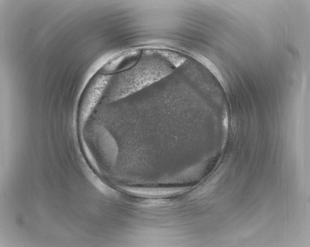 X0000115061482200911161558