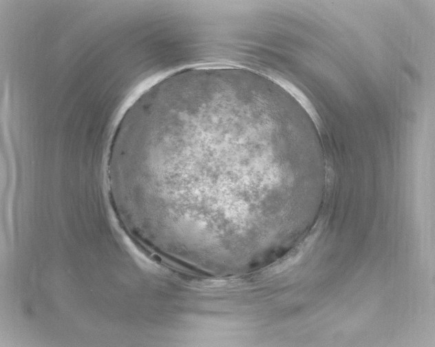 X0000115061485200911161558