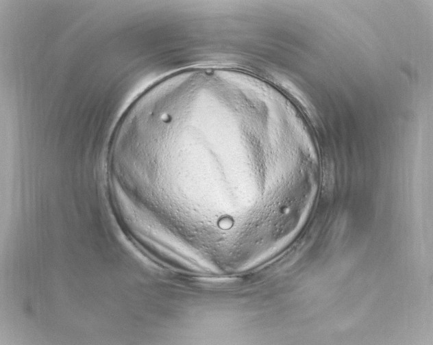 X0000115061487200911161558