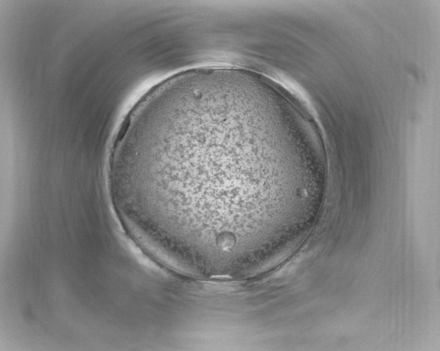 X0000115061488200911161558