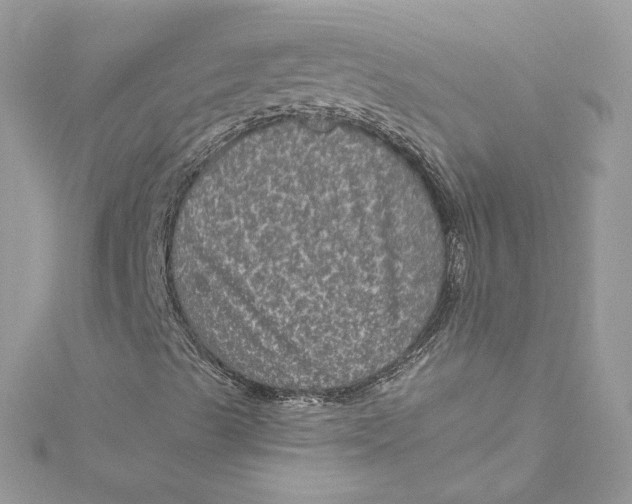 X0000115061489200911161557