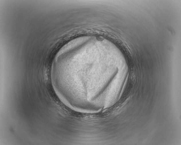 X0000115061490200911161557