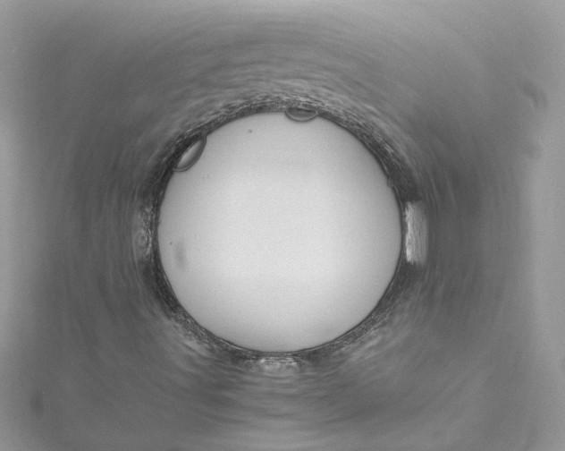 X0000115061491200911161557