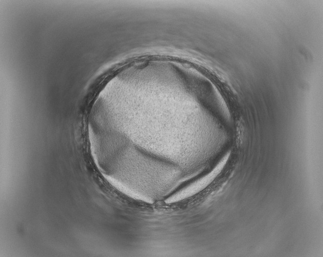 X0000115061494200911161557