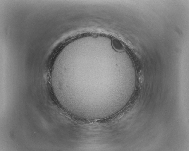 X0000115061495200911161557