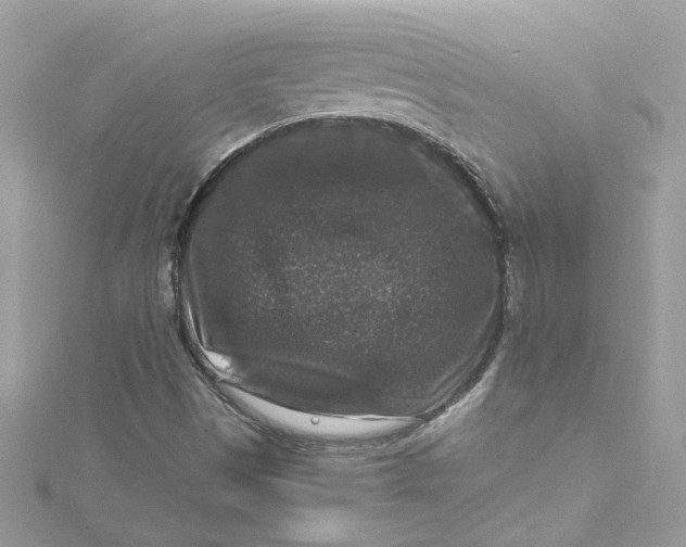 X0000115061497200911161557