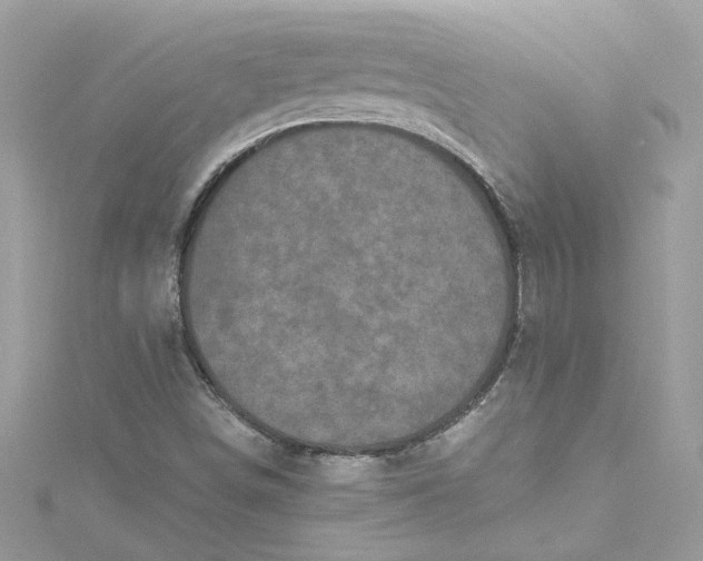 X0000115061498200911161557