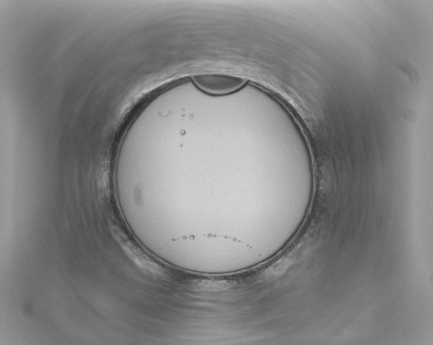 X0000115061499200911161557