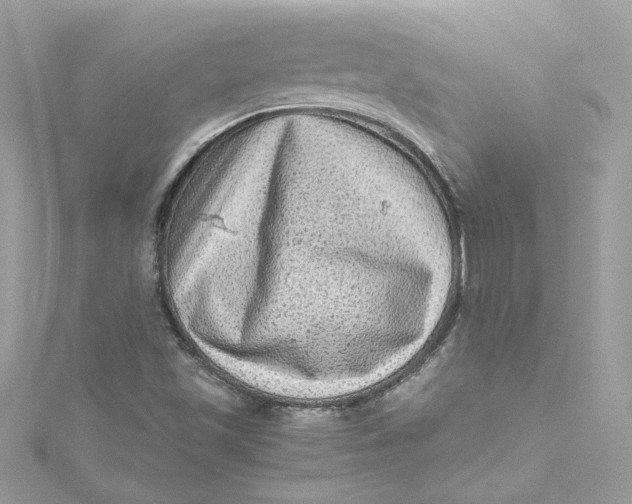 X0000115061501200911161557