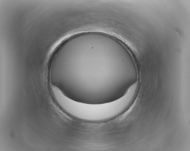 X0000115061502200911161557