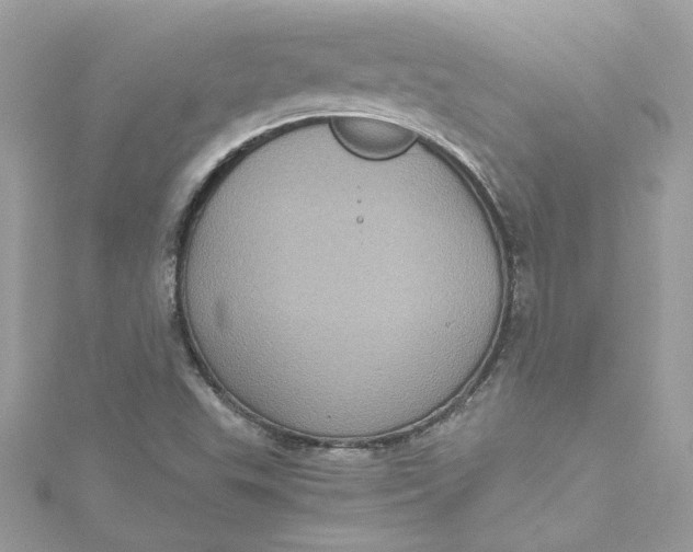 X0000115061503200911161557