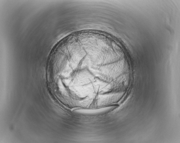 X0000115061505200911161557