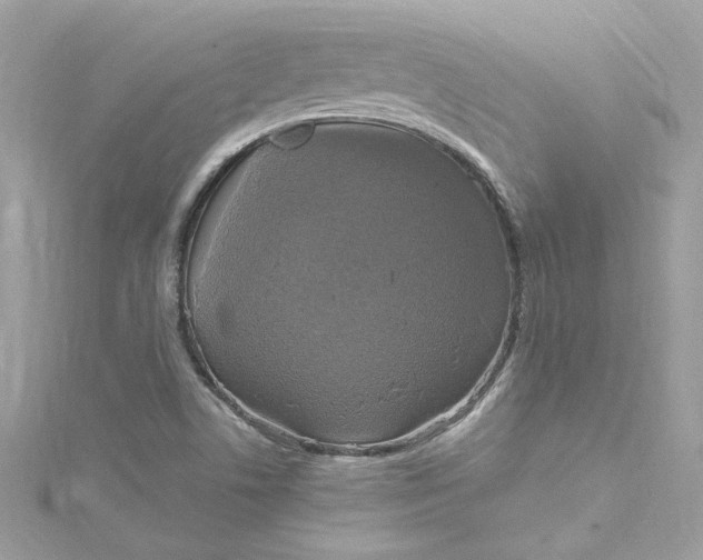 X0000115061506200911161557